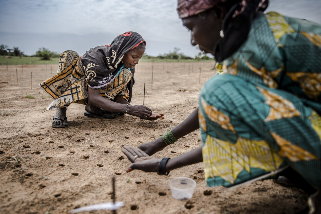 Africa sees 'most challenging' environment in years: IMF