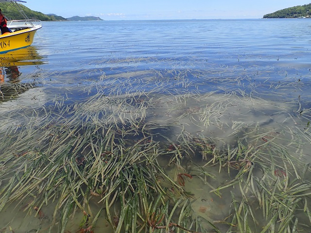 Les Seychelles sont un partenaire sérieux dans la conservation de l'environnement, déclare le président des Seychelles