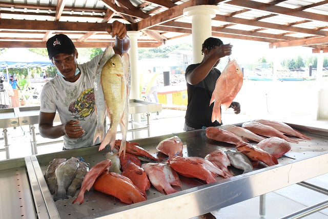 Sustainability: Monitoring fish catch at entry points in Seychelles remains significant challenge