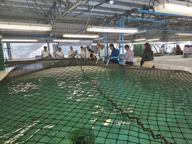 L'Autorité des pêches des Seychelles enregistre un regain d'intérêt pour l'aquaculture