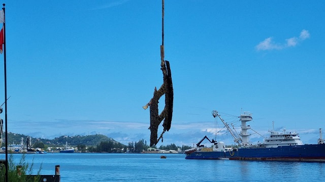 US Navy assists Seychelles Coast Guard in wreckage removal