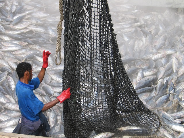 Des observateurs seront déployés sur les navires de pêche taïwanais opérant dans les eaux des Seychelles