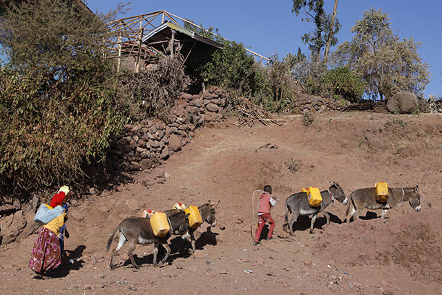 Dans la Corne de l'Afrique, 22 millions de personnes menacées par la sécheresse