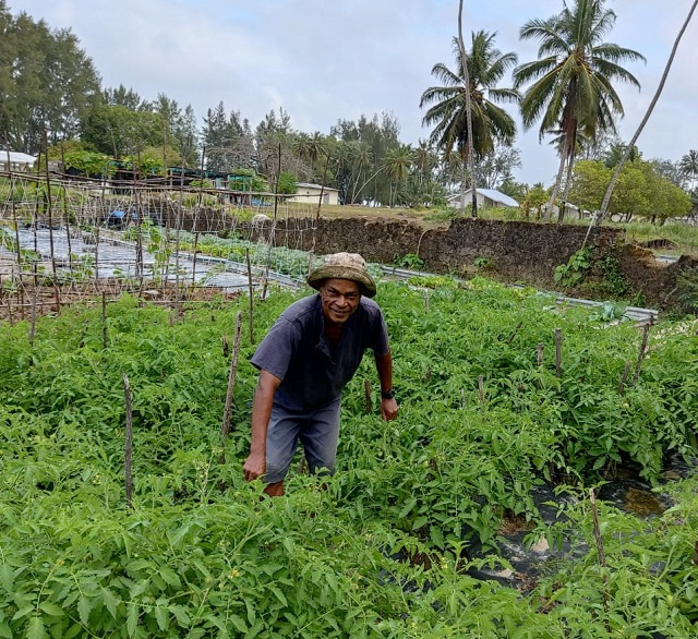 Seychelles' Islands Development Company working on sustainable farming