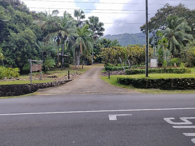 Seychelles' National Biodiversity Centre calls for more people to plant endemic species at home