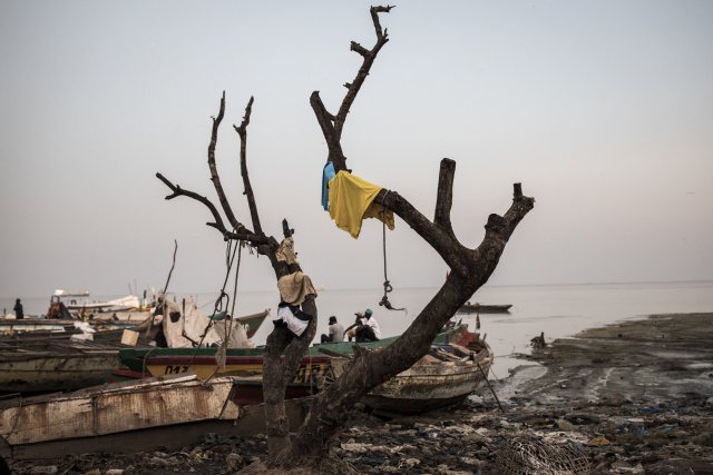 Guinea-Bissau joins UN environment and human rights accord