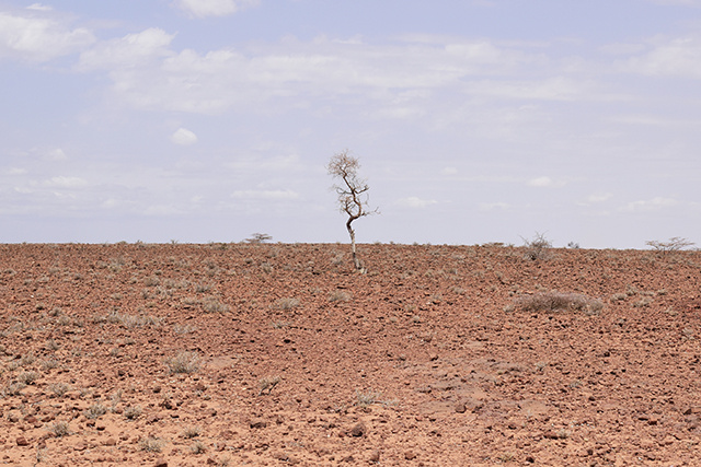 La sécheresse record dans la Corne de l'Afrique est attribuable au réchauffement climatique