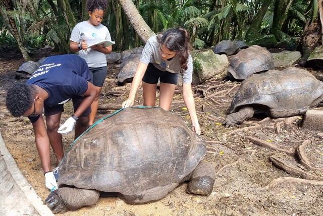 Aldabra giant tortoise census: Seychelles and IOTA sign agreement for new survey