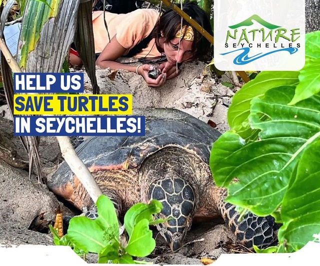 Volunteers needed in Seychelles for Cousin Island turtle nesting programme
