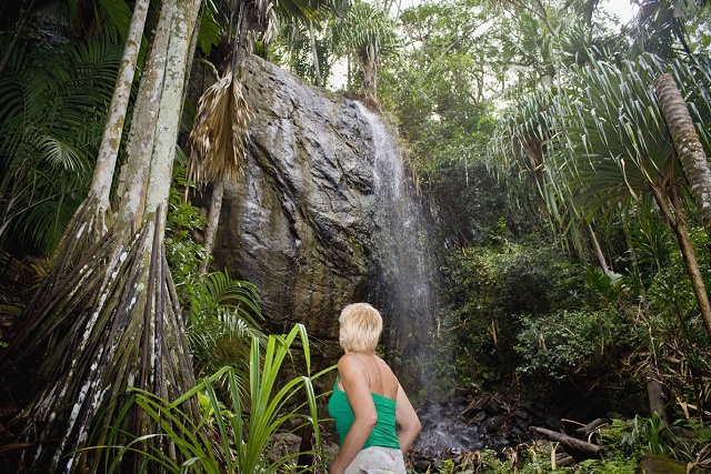 Seychelles' Fond Ferdinand and Vallee de Mai reserves win Tripadvisor 2023 Travellers' Choice Award