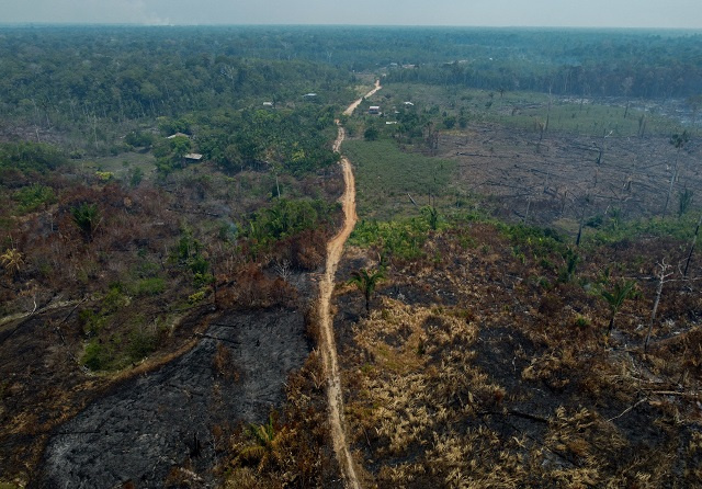 Le monde va "dans la mauvaise direction" pour arrêter la déforestation d'ici 2030
