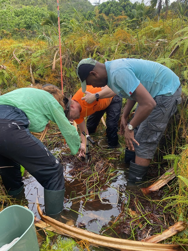 Comparative research starts on Seychelles to understand how islands evolved