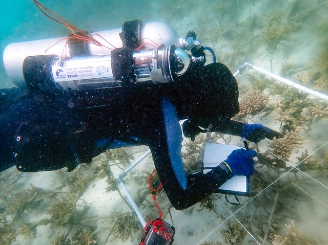 Nature Seychelles pilots cutting-edge conservation technology in monitoring of turtle nests