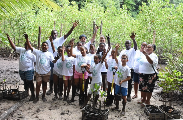 Journée mondiale des zones humides : les Seychelles plantent des mangroves