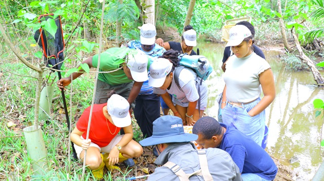 Gaea Seychelles assesses healthiness of 15 rivers on 3 Seychelles' islands