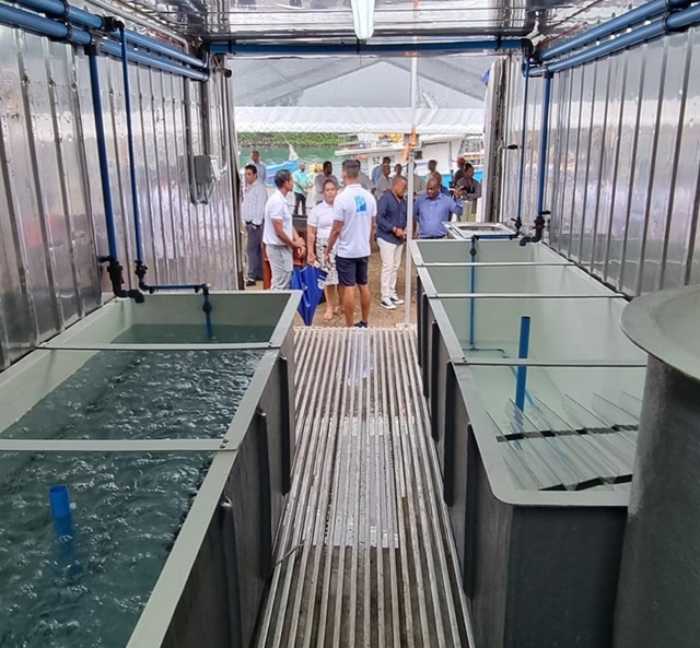 Seychelles aims to set up regional aquaculture centre of excellence, says SFA