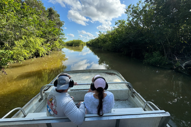 Half of mangrove ecosystems at risk: conservationists