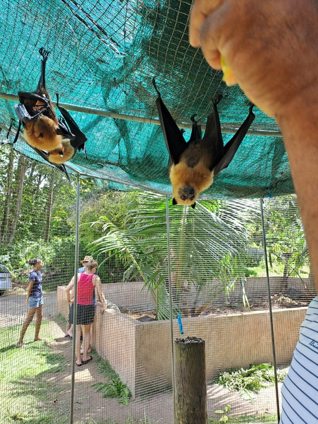 Seychelles' Praslin Museum offers a living experience of Seychellois history and life