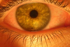 US scientists: Yes you get more dopey with age if you smoke marijuana as a teenager