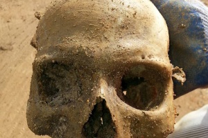 Skull found at construction site was 35-40 year-old male, analysis finds