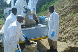 La justice des Seychelles ordonne la destruction de 150kg de viande de tortue.