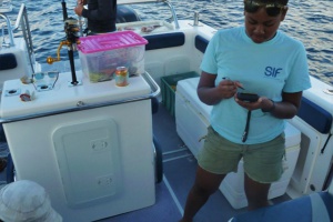 L’atoll d’Aldabra aux Seychelles restreint les activités de pêche pour la protection de la vie marine