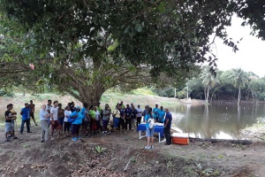 Tree-planting project in Seychelles seeks to preserve watersheds, catchment areas