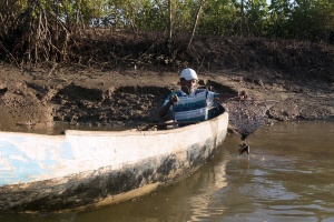 In Madagascar, fishermen plant mangroves for the future