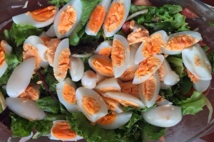 Seychelles' orange omelette season opens