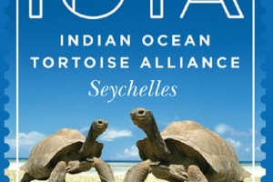 Nouvelle alliance pour la conservation des tortues géantes d’Aldabra aux Seychelles