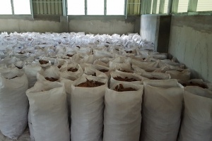 Good weather leads to spike in cinnamon production in Seychelles