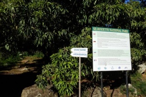 4 reasons to make the trek along the Jardin Marron trail in Seychelles