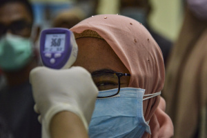 WHO declares global virus emergency as death toll hits 213