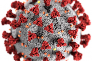 Tests rapides COVID-19 effectués aux Seychelles pour les personnes sortant d'une période d'isolement de 14 jours