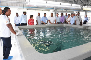 Seychellois can now partner with foreign investors in aquaculture business ventures